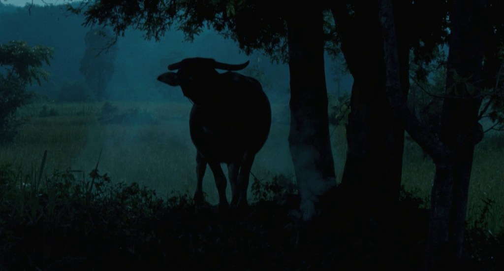 Moviment i Pausa. Apunts sobre una mort&nbsp;segura