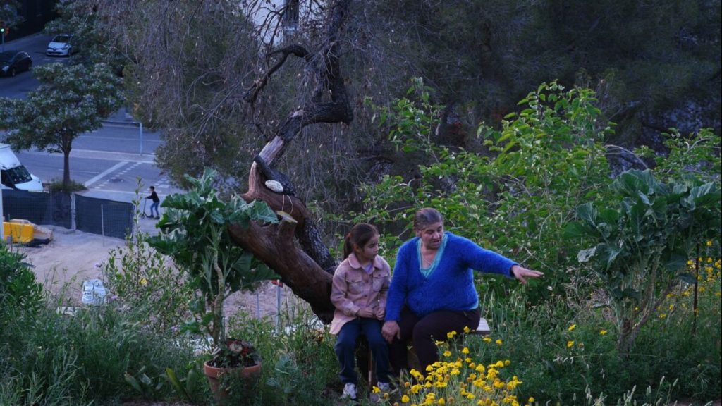 Històries de la Bona&nbsp;Vall